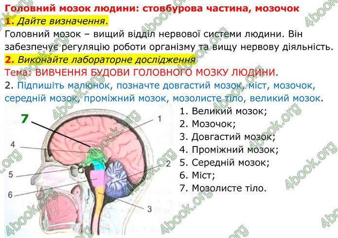 ГДЗ Зошит Біологія 8 клас Кулініч (2025)