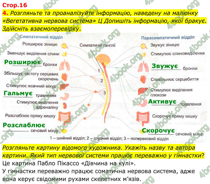 ГДЗ Зошит Біологія 8 клас Кулініч (2025)
