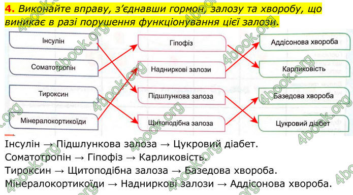 ГДЗ Зошит Біологія 8 клас Кулініч (2025)
