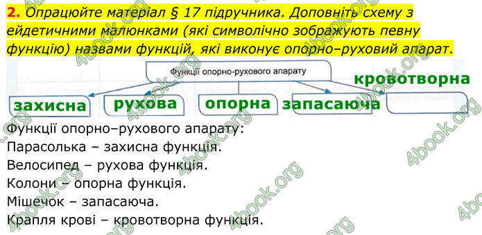 ГДЗ Зошит Біологія 8 клас Кулініч (2025)