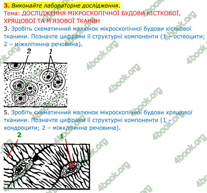 ГДЗ Зошит Біологія 8 клас Кулініч (2025)