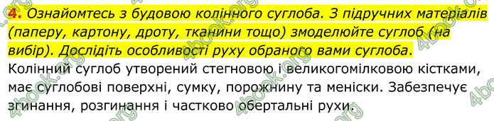 ГДЗ Зошит Біологія 8 клас Кулініч (2025)