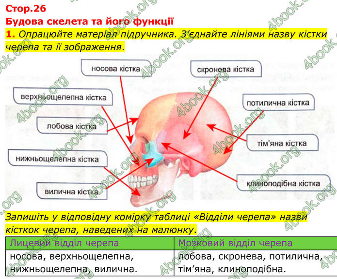 ГДЗ Зошит Біологія 8 клас Кулініч (2025)