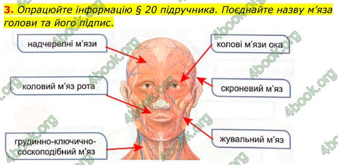 ГДЗ Зошит Біологія 8 клас Кулініч (2025)