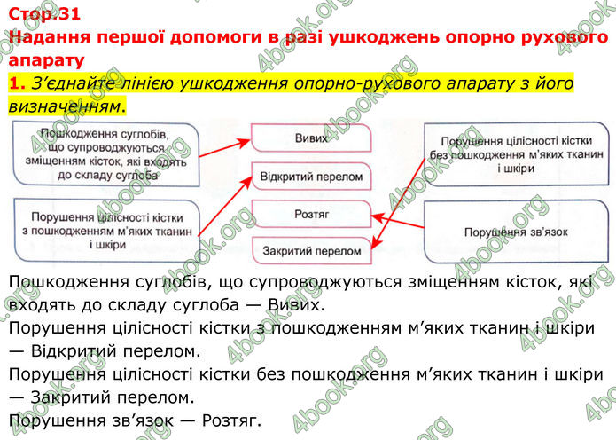 ГДЗ Зошит Біологія 8 клас Кулініч (2025)