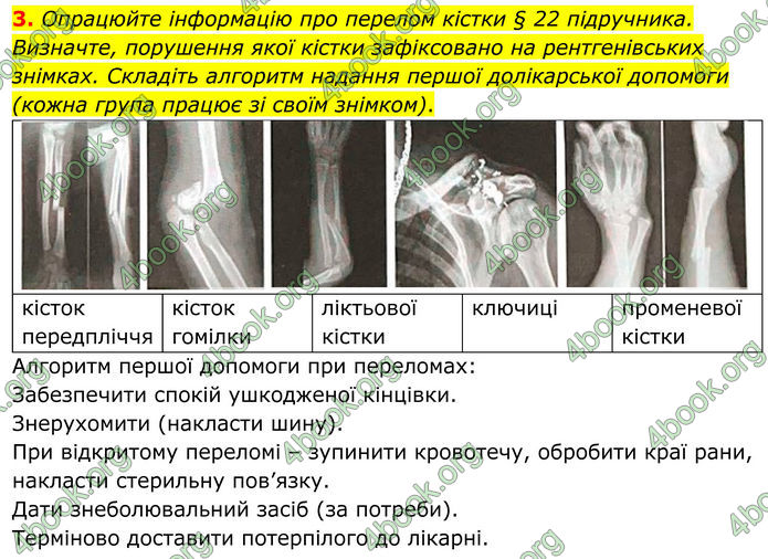 ГДЗ Зошит Біологія 8 клас Кулініч (2025)