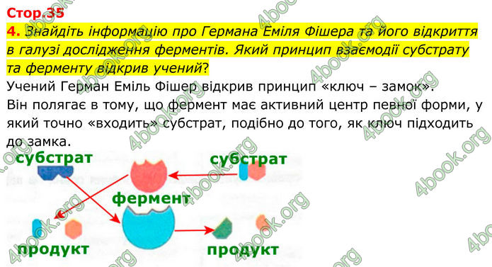 ГДЗ Зошит Біологія 8 клас Кулініч (2025)