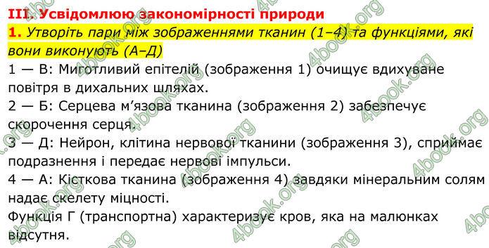 ГДЗ Біологія 8 клас Балан (2025)