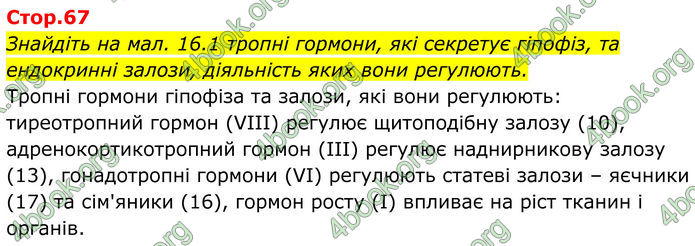 ГДЗ Біологія 8 клас Балан (2025) ГДЗ Біологія 8 клас Балан (2025)