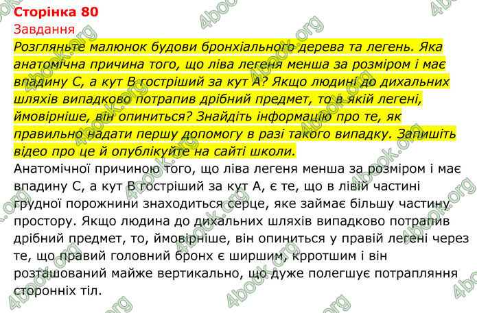 ГДЗ Біологія 8 клас Тагліна (2025)