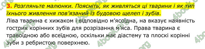 ГДЗ Біологія 8 клас Тагліна (2025)