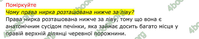 ГДЗ Біологія 8 клас Тагліна (2025)