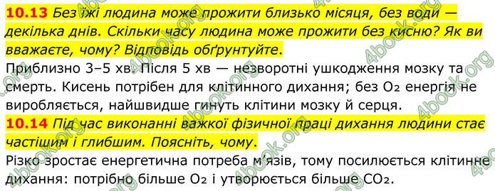ГДЗ Зошит Хімія 8 клас Григорович (2025) ГДЗ Зошит Хімія 8 клас Григорович (2025)