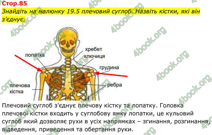 ГДЗ Біологія 8 клас Балан (2025)