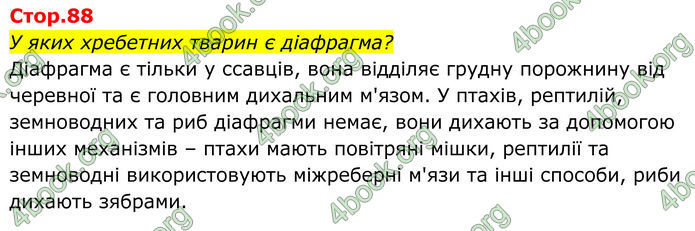 ГДЗ Біологія 8 клас Балан (2025) ГДЗ Біологія 8 клас Балан (2025)