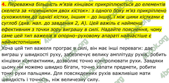 ГДЗ Біологія 8 клас Балан (2025)