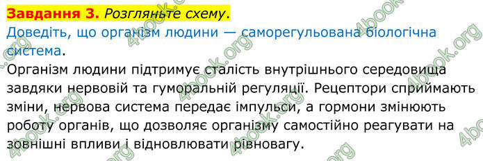 ГДЗ зошит з біології 8 клас Андерсон 2025