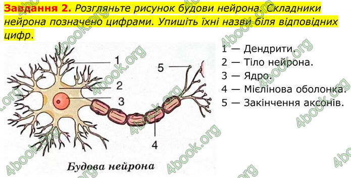 ГДЗ зошит з біології 8 клас Андерсон 2025