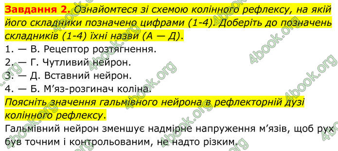 ГДЗ зошит з біології 8 клас Андерсон 2025