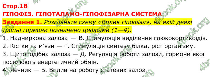 ГДЗ зошит з біології 8 клас Андерсон 2025