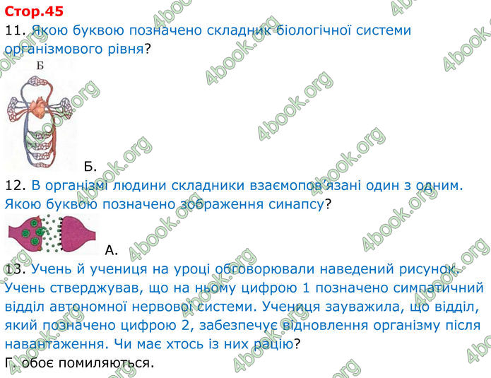 ГДЗ зошит з біології 8 клас Андерсон 2025