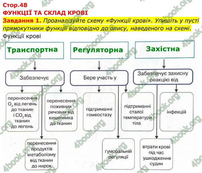 ГДЗ зошит з біології 8 клас Андерсон 2025