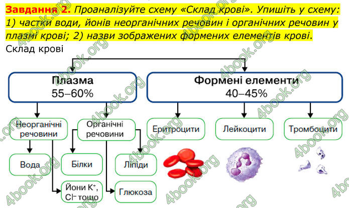 ГДЗ зошит з біології 8 клас Андерсон 2025