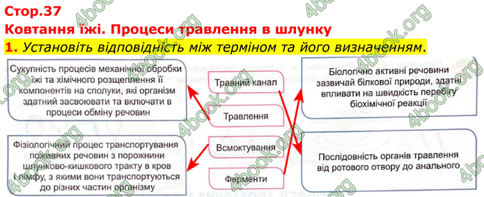 ГДЗ Зошит Біологія 8 клас Кулініч (2025)