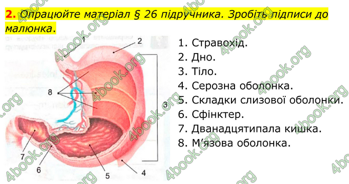 ГДЗ Зошит Біологія 8 клас Кулініч (2025)