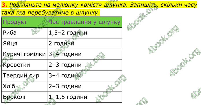 ГДЗ Зошит Біологія 8 клас Кулініч (2025)