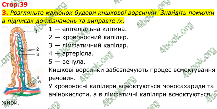 ГДЗ Зошит Біологія 8 клас Кулініч (2025)