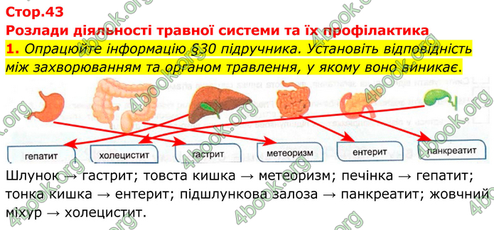 ГДЗ Зошит Біологія 8 клас Кулініч (2025)