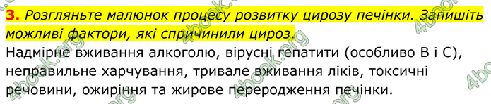 ГДЗ Зошит Біологія 8 клас Кулініч (2025)