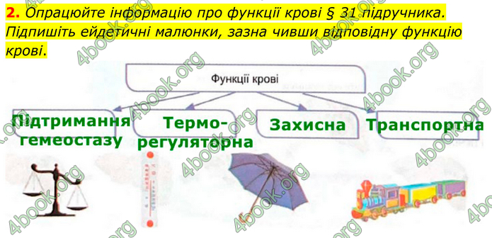 ГДЗ Зошит Біологія 8 клас Кулініч (2025)
