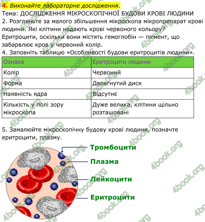 ГДЗ Зошит Біологія 8 клас Кулініч (2025)