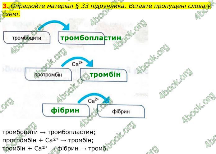 ГДЗ Зошит Біологія 8 клас Кулініч (2025)