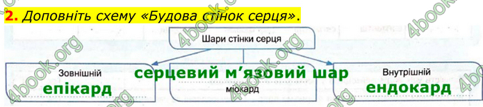 ГДЗ Зошит Біологія 8 клас Кулініч (2025)