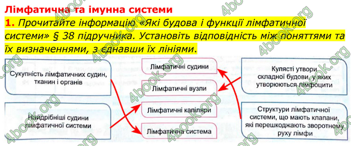 ГДЗ Зошит Біологія 8 клас Кулініч (2025)