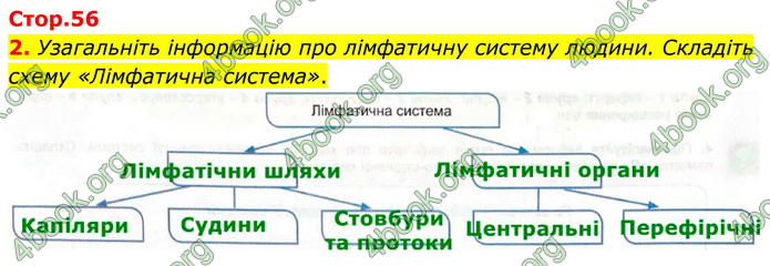 ГДЗ Зошит Біологія 8 клас Кулініч (2025)