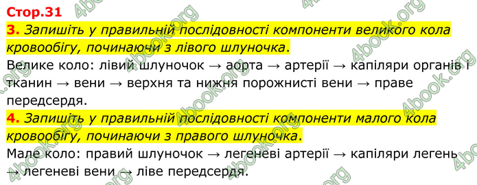 ГДЗ Зошит Біологія 8 клас Тагліна (2025)