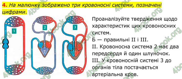 ГДЗ Зошит Біологія 8 клас Тагліна (2025)