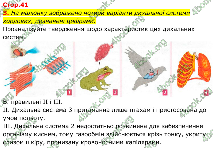 ГДЗ Зошит Біологія 8 клас Тагліна (2025)