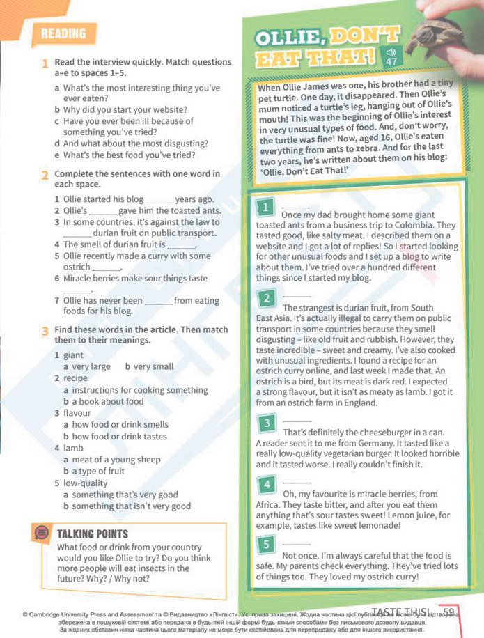 Підручник Англійська мова 8 клас Стайрінг (2025)