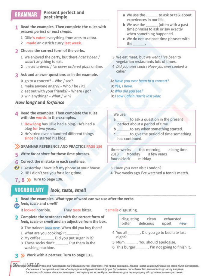 Підручник Англійська мова 8 клас Стайрінг (2025)