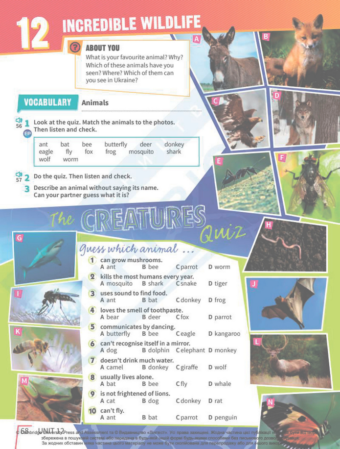 Підручник Англійська мова 8 клас Стайрінг (2025)