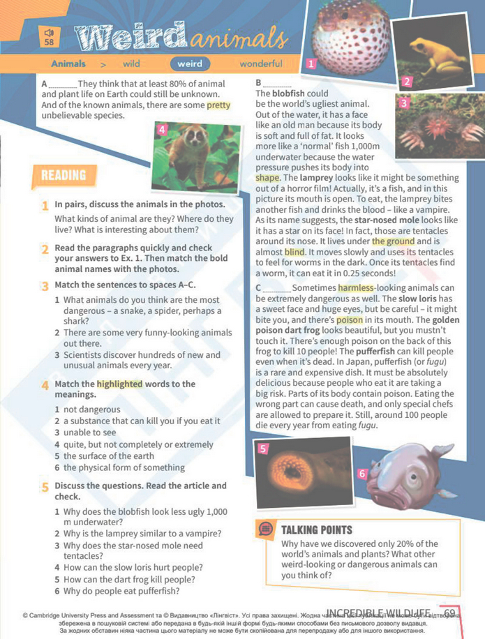 Підручник Англійська мова 8 клас Стайрінг (2025)