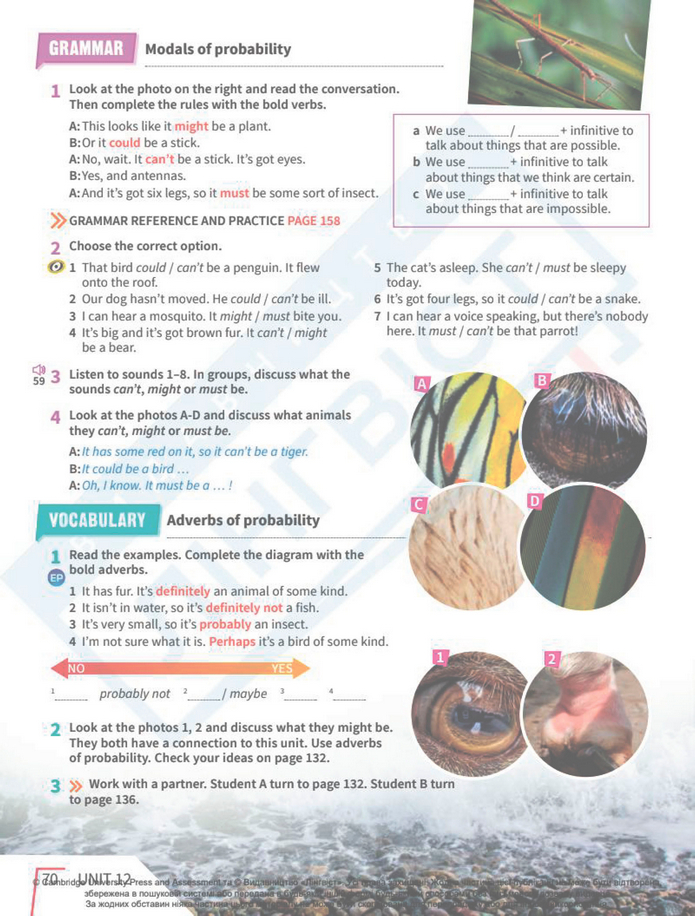 Підручник Англійська мова 8 клас Стайрінг (2025)