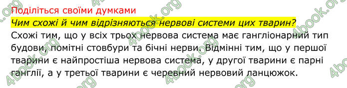 ГДЗ Біологія 8 клас Тагліна (2025)
