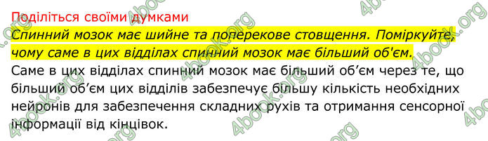 ГДЗ Біологія 8 клас Тагліна (2025)
