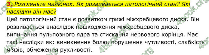 ГДЗ Біологія 8 клас Тагліна (2025)